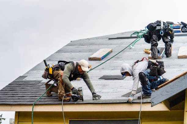 Professional Roofing technician working in Erhard, MN